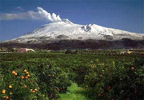 Le arance siciliane siciliane prodotte dall'azienda pannitteri crescono alle falde del vulcano Etna