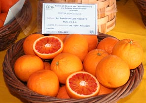 Arancia Sanguinello ~ Frutti siciliani